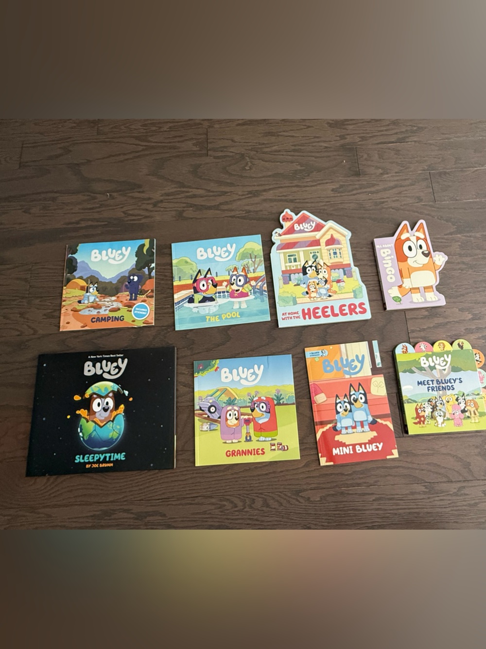 Disney Bluey book lot bundle Bingo Heeler swim pool camping grannies sleepy
